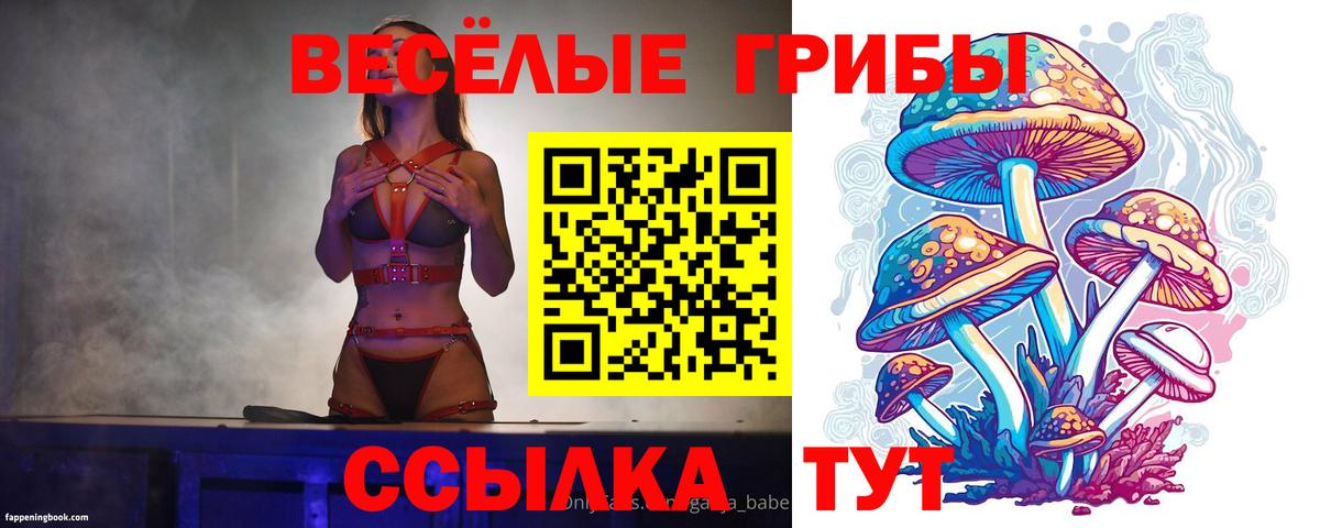 Галлюциногенные грибы GOLDEN TEACHER Электросталь